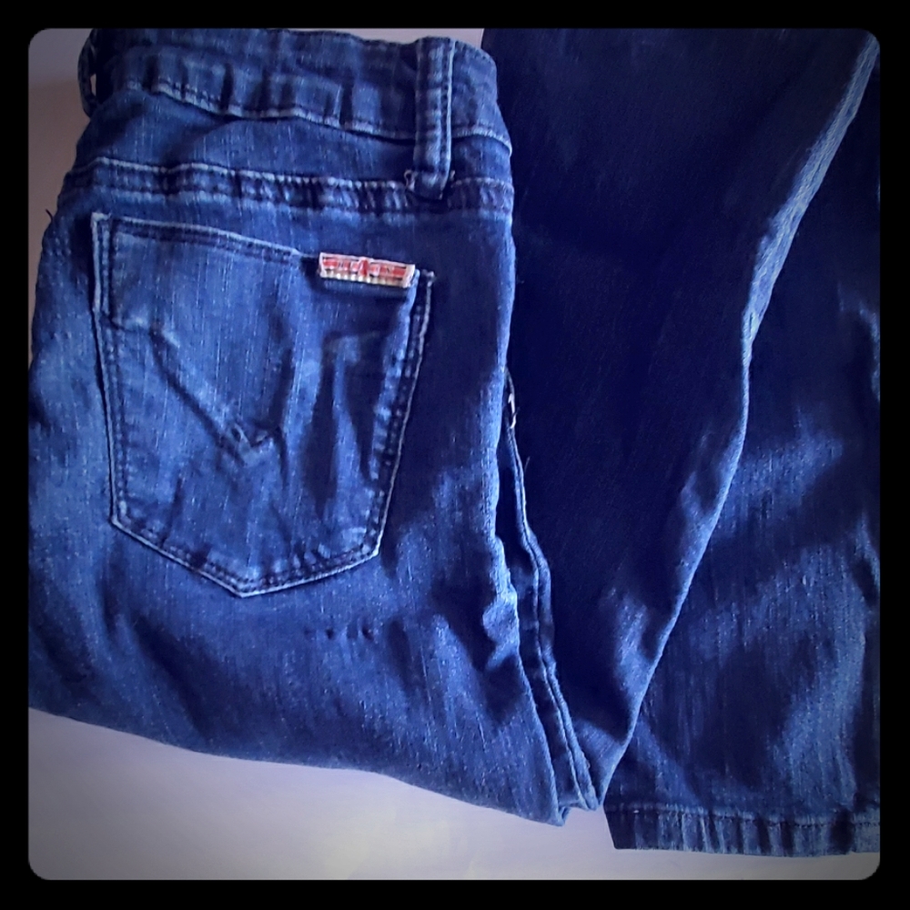Girls Size 12 Hudson Jeggings